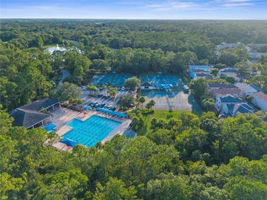 This home is a true SHOWSTOPPER, blending timeless elegance with on Westchase Golf Club in Florida - for sale on GolfHomes.com, golf home, golf lot