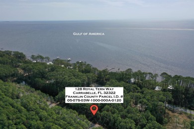 Prime vacant lot in St. James Golf & Pickleball Resort! Discover on St. James Bay in Florida - for sale on GolfHomes.com, golf home, golf lot