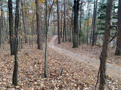 Quite neighborhood with minimal automobile traffic flow. Located on DeSoto Golf Course in Arkansas - for sale on GolfHomes.com, golf home, golf lot