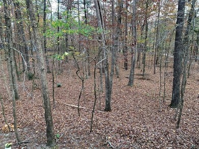 Quite neighborhood with minimal automobile traffic flow. Located on DeSoto Golf Course in Arkansas - for sale on GolfHomes.com, golf home, golf lot