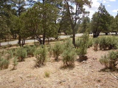 Land - Alto, NM Beautiful Golf Membership Lot that backs up to on The Links at Sierra Blanca in New Mexico - for sale on GolfHomes.com, golf home, golf lot