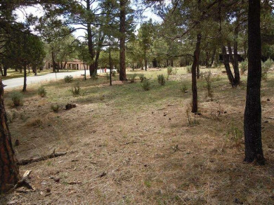 Land - Alto, NM Beautiful Golf Membership Lot that backs up to on The Links at Sierra Blanca in New Mexico - for sale on GolfHomes.com, golf home, golf lot