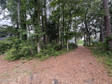 Outstanding buidable lot on desirable Dataw Island.  Dataw on Dataw Island Club in South Carolina - for sale on GolfHomes.com, golf home, golf lot