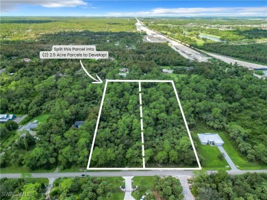 Rare opportunity to own 5 acres in one of Naples' most on The Club At Twin Eagles in Florida - for sale on GolfHomes.com, golf home, golf lot