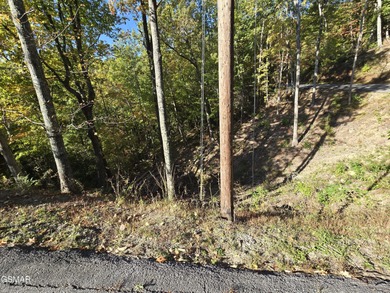 Utility water and electricity at the road! Seasonal Mountain on Bent Creek Golf Course in Tennessee - for sale on GolfHomes.com, golf home, golf lot