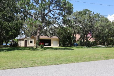 Lakefront Luxury with No HOA!

Welcome to Serenity Estate, a on Meadow Oaks Golf and Country Club in Florida - for sale on GolfHomes.com, golf home, golf lot