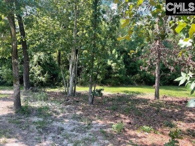 Last vacant lot on Cartgate Circle is your opportunity to build on The Windermere Club in South Carolina - for sale on GolfHomes.com, golf home, golf lot