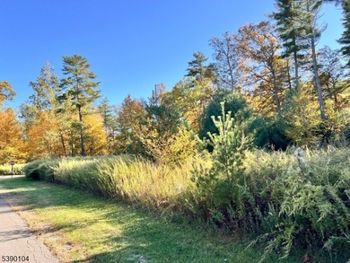 Picture your dream escape on this remarkable 0.75-acre level on High Point Golf Club in New Jersey - for sale on GolfHomes.com, golf home, golf lot