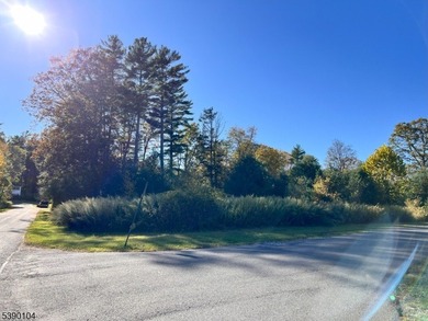 Picture your dream escape on this remarkable 0.75-acre level on High Point Golf Club in New Jersey - for sale on GolfHomes.com, golf home, golf lot