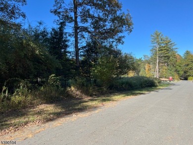 Picture your dream escape on this remarkable 0.75-acre level on High Point Golf Club in New Jersey - for sale on GolfHomes.com, golf home, golf lot