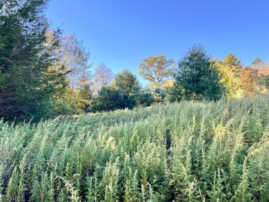 Picture your dream escape on this remarkable 0.75-acre level on High Point Golf Club in New Jersey - for sale on GolfHomes.com, golf home, golf lot