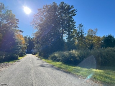 Picture your dream escape on this remarkable 0.75-acre level on High Point Golf Club in New Jersey - for sale on GolfHomes.com, golf home, golf lot