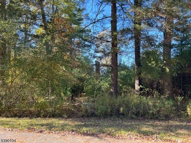 Picture your dream escape on this remarkable 0.75-acre level on High Point Golf Club in New Jersey - for sale on GolfHomes.com, golf home, golf lot