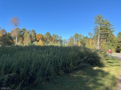 Picture your dream escape on this remarkable 0.75-acre level on High Point Golf Club in New Jersey - for sale on GolfHomes.com, golf home, golf lot