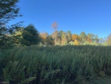 Picture your dream escape on this remarkable 0.75-acre level on High Point Golf Club in New Jersey - for sale on GolfHomes.com, golf home, golf lot