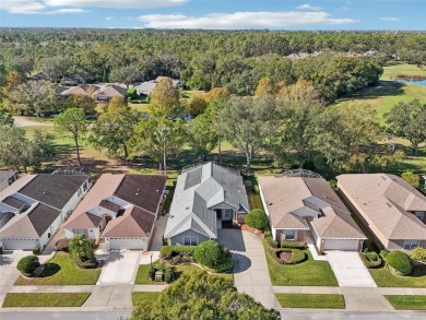 Under contract-accepting backup offers. Welcome to Your Dream on Country Club of Mount Dora in Florida - for sale on GolfHomes.com, golf home, golf lot