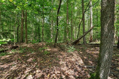 Level Corner Lot in Chickasaw Point - Steps from the Clubhouse on The Trail At Chickasaw Pointe in South Carolina - for sale on GolfHomes.com, golf home, golf lot
