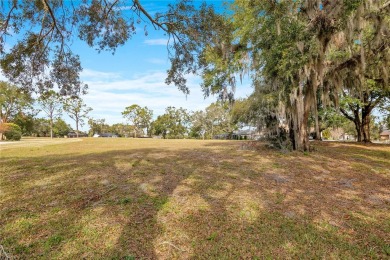 More photos coming. Prime Golf Course Living Awaits! Discover on Harbor Hills Country Club in Florida - for sale on GolfHomes.com, golf home, golf lot