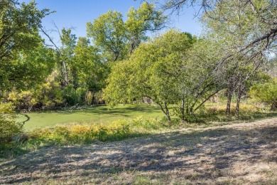 Luxury hidden gem, offering a serene country feel within city on La Paloma Golf Club in Texas - for sale on GolfHomes.com, golf home, golf lot