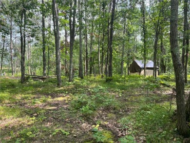 Here is the future home of your northern retreat on the 14th on Breezy Point Golf Course Resort in Minnesota - for sale on GolfHomes.com, golf home, golf lot