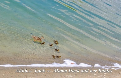 You can own your piece of the water front lake with purchase of on Silver Lakes Golf Course in California - for sale on GolfHomes.com, golf home, golf lot