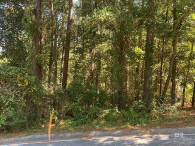 LOCATION. LOCATION. LOCATION.  This lot offers exceptional on Lake Forest Yacht and Country Club in Alabama - for sale on GolfHomes.com, golf home, golf lot