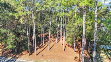 Nestled just 1/3 mile from the fitness center & main gate, 117 on Belfair Golf Club in South Carolina - for sale on GolfHomes.com, golf home, golf lot