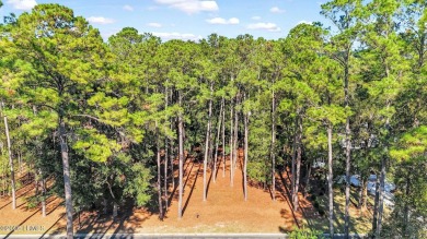 Nestled just 1/3 mile from the fitness center & main gate, 117 on Belfair Golf Club in South Carolina - for sale on GolfHomes.com, golf home, golf lot