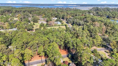 Nestled just 1/3 mile from the fitness center & main gate, 117 on Belfair Golf Club in South Carolina - for sale on GolfHomes.com, golf home, golf lot