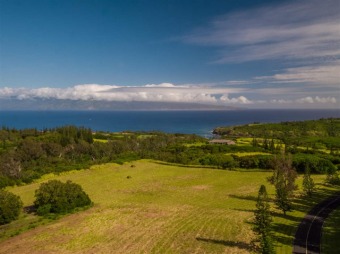Gorgeous corner property with beautiful building site. 9.298 on Kapalua Golf Club - Plantation Course in Hawaii - for sale on GolfHomes.com, golf home, golf lot