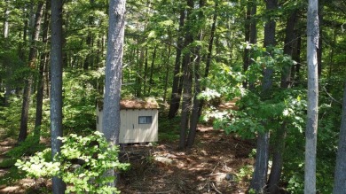 Looking for an exceptional location to build your lakefront on Belgrade Lakes Golf Club in Maine - for sale on GolfHomes.com, golf home, golf lot