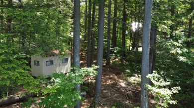 Looking for an exceptional location to build your lakefront on Belgrade Lakes Golf Club in Maine - for sale on GolfHomes.com, golf home, golf lot