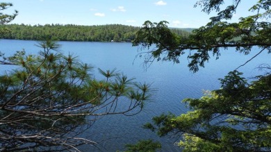 Looking for an exceptional location to build your lakefront on Belgrade Lakes Golf Club in Maine - for sale on GolfHomes.com, golf home, golf lot