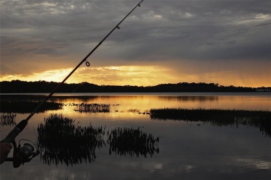 One or more photo(s) has been virtually staged. Welcome to this on Harmony Golf Preserve in Florida - for sale on GolfHomes.com, golf home, golf lot