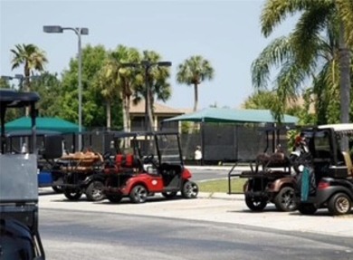 Step into the perfect blend of resort-style luxury and tranquil on River Strand Golf and Country Club At Heritage Harbour  in Florida - for sale on GolfHomes.com, golf home, golf lot