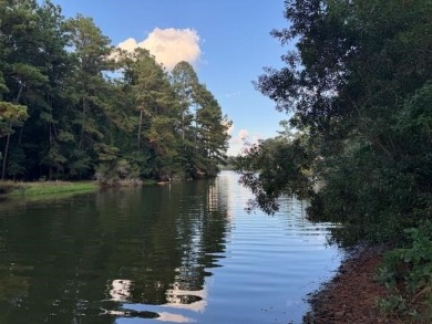This is your chance to build your dream home on one of the last on Golden Eagle Country Club in Florida - for sale on GolfHomes.com, golf home, golf lot