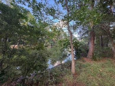 This is your chance to build your dream home on one of the last on Golden Eagle Country Club in Florida - for sale on GolfHomes.com, golf home, golf lot