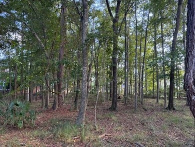 This is your chance to build your dream home on one of the last on Golden Eagle Country Club in Florida - for sale on GolfHomes.com, golf home, golf lot