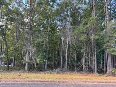 This is your chance to build your dream home on one of the last on Golden Eagle Country Club in Florida - for sale on GolfHomes.com, golf home, golf lot