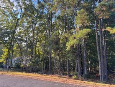 This is your chance to build your dream home on one of the last on Golden Eagle Country Club in Florida - for sale on GolfHomes.com, golf home, golf lot