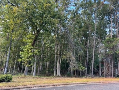 This is your chance to build your dream home on one of the last on Golden Eagle Country Club in Florida - for sale on GolfHomes.com, golf home, golf lot