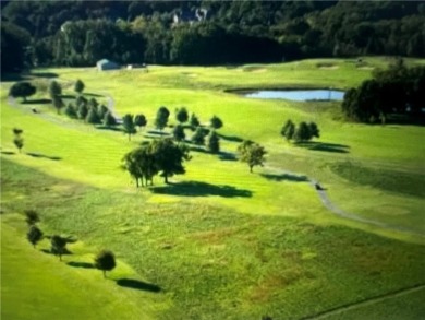 The NEW 71B-luff along the back of lot. Perced and septic on Bella Vista Country Club - Berksdale in Arkansas - for sale on GolfHomes.com, golf home, golf lot