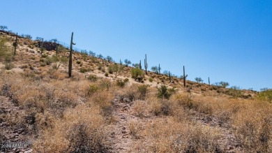This tranquil neighborhood in Gold Canyon is enveloped by the on Gold Canyon Golf Resort - Sidewinder in Arizona - for sale on GolfHomes.com, golf home, golf lot