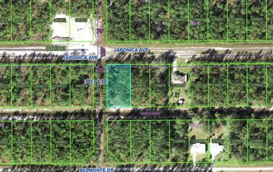 Country living at its finest on this half acre lot in this gated on Indian Lake Estates Golf and Country Club in Florida - for sale on GolfHomes.com, golf home, golf lot