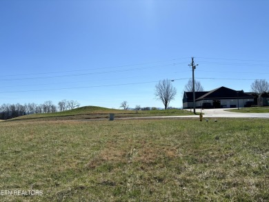 Whether you're looking for a beautiful view of the mountains or on Tellico Village -The Links At Kahite Golf Course in Tennessee - for sale on GolfHomes.com, golf home, golf lot
