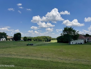Whether you're looking for a beautiful view of the mountains or on Tellico Village -The Links At Kahite Golf Course in Tennessee - for sale on GolfHomes.com, golf home, golf lot