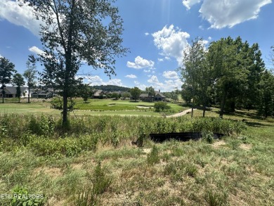 THIS IS THE VIEW! Experience the stunning view of #15 Green at on Tennessee National Golf Club in Tennessee - for sale on GolfHomes.com, golf home, golf lot