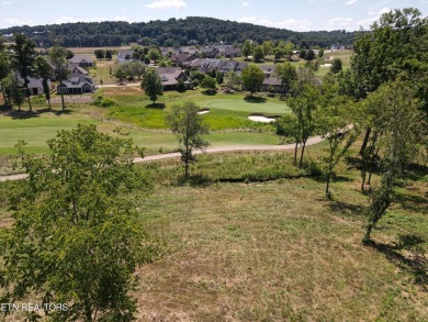 THIS IS THE VIEW! Experience the stunning view of #15 Green at on Tennessee National Golf Club in Tennessee - for sale on GolfHomes.com, golf home, golf lot
