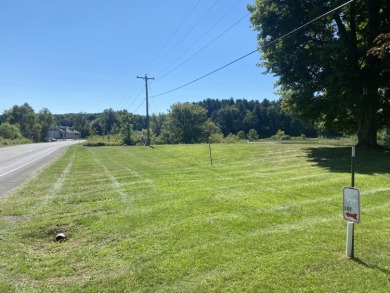 SWAINS LAKE BUILING LOT!!Looking for a building lot on a quiet on Concord Hills Golf Course in Michigan - for sale on GolfHomes.com, golf home, golf lot