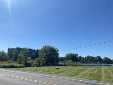 SWAINS LAKE BUILING LOT!!
Looking for a building lot on a quiet on Concord Hills Golf Course in Michigan - for sale on GolfHomes.com, golf home, golf lot